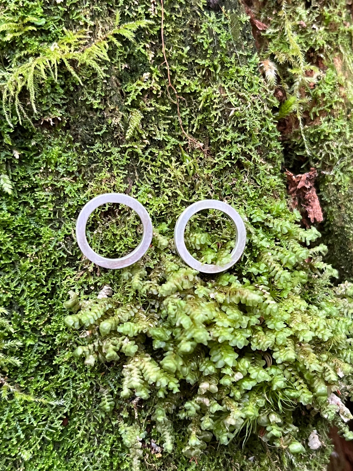 Circular stud earrings