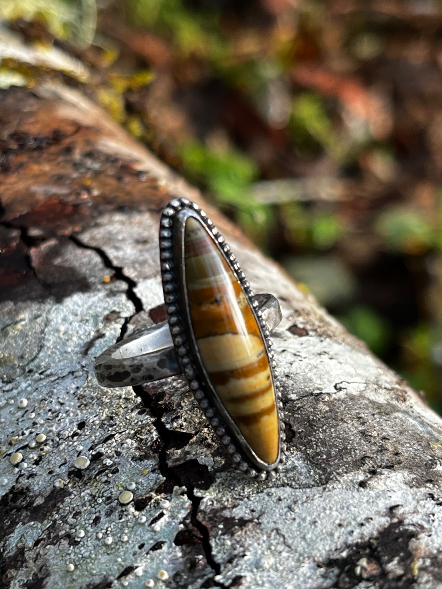 Picture Jasper Ring