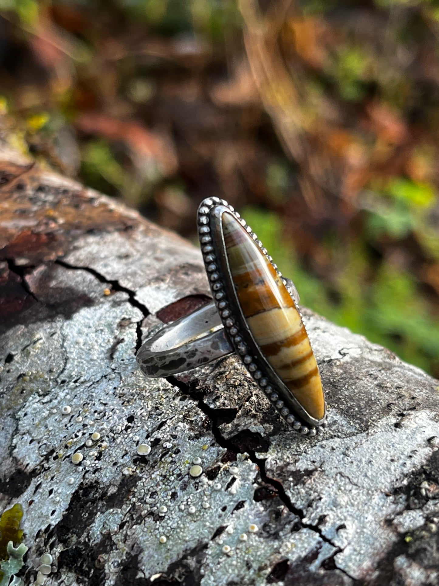 Picture Jasper Ring