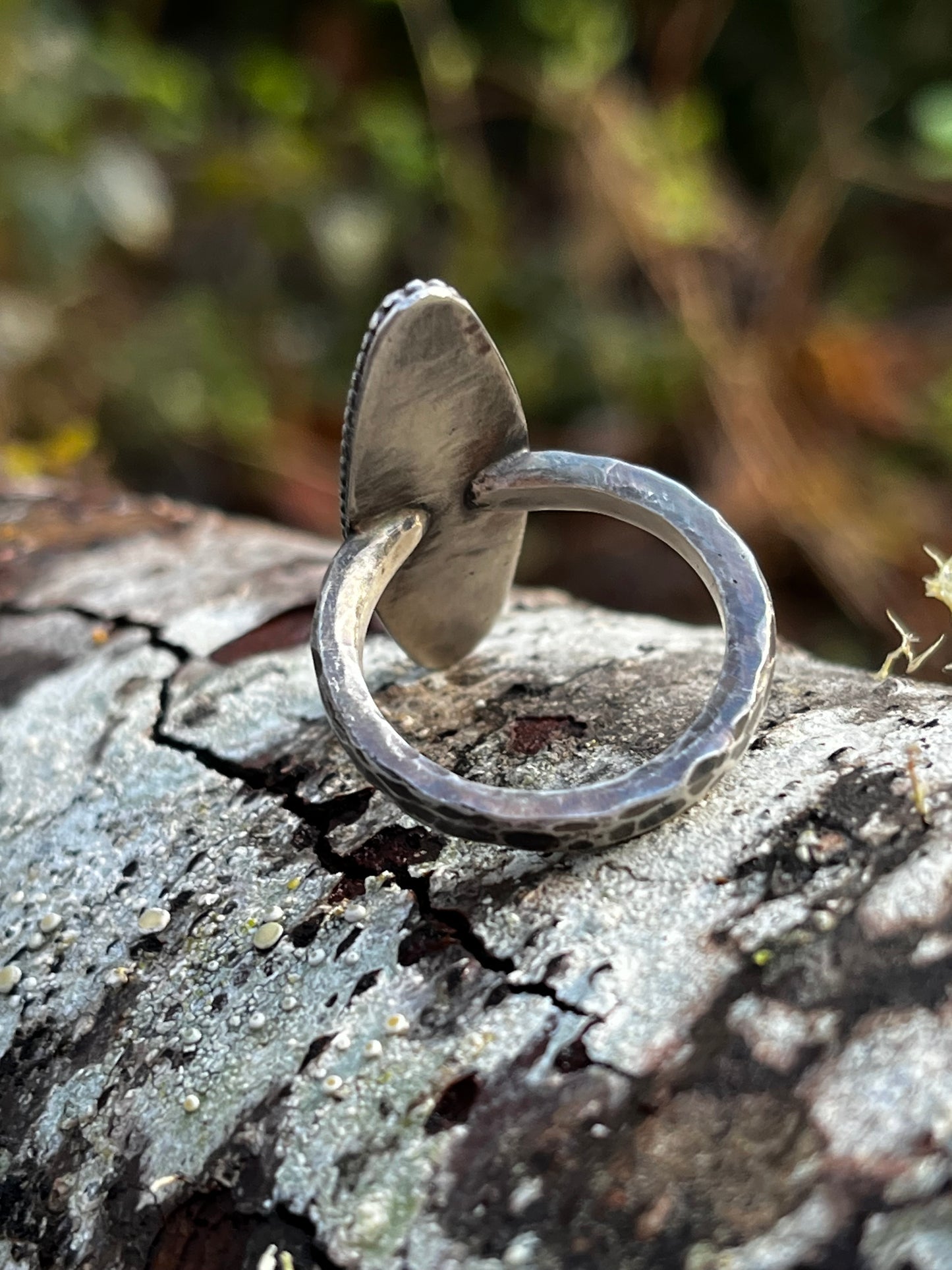 Picture Jasper Ring