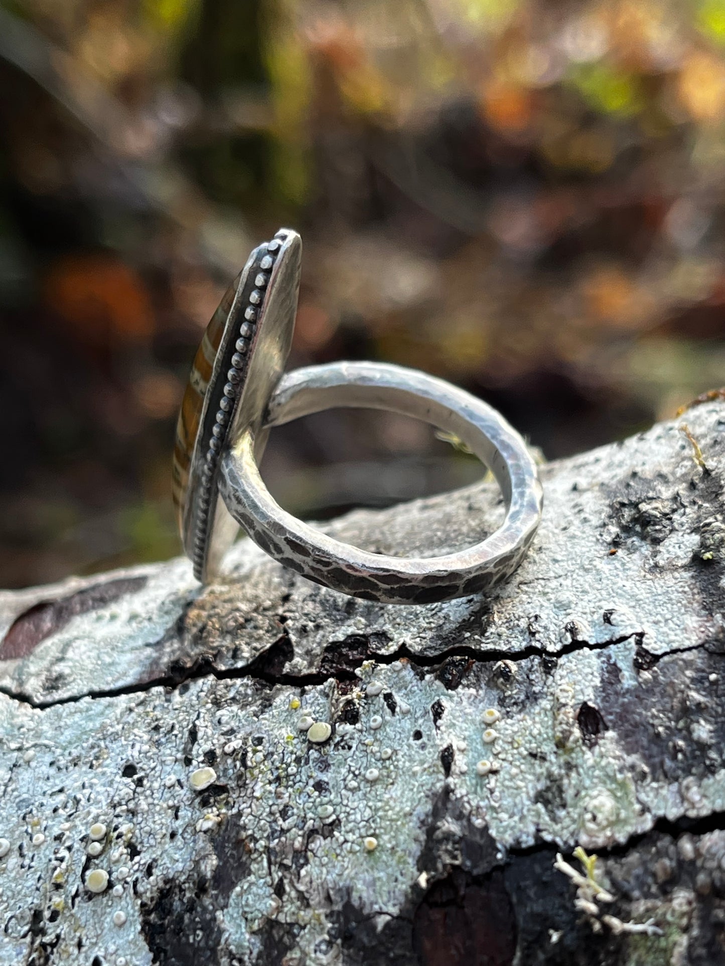 Picture Jasper Ring