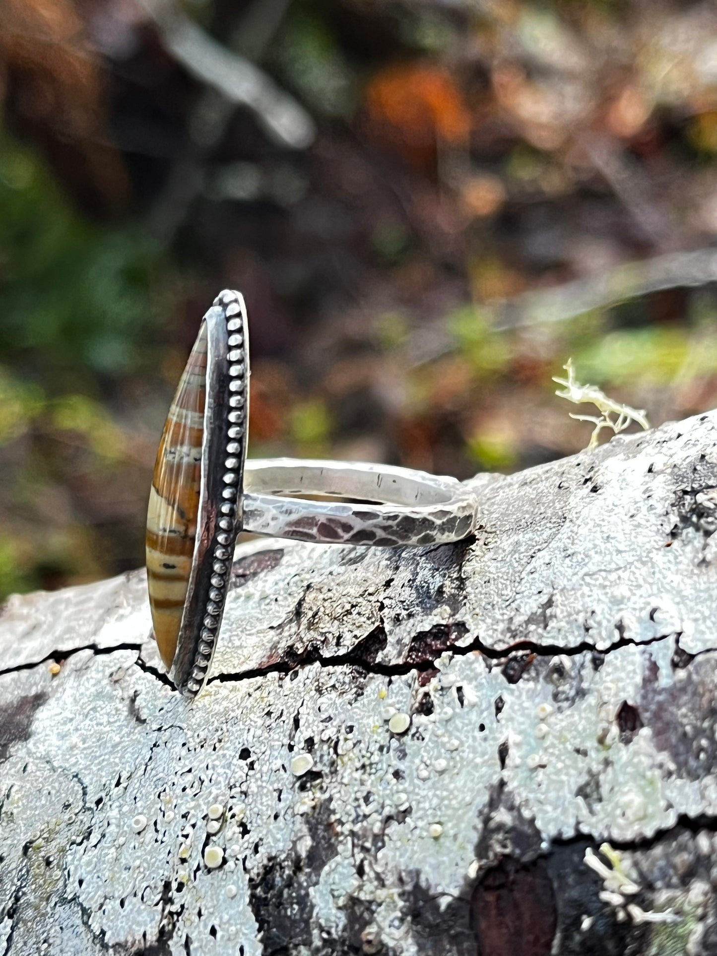 Picture Jasper Ring